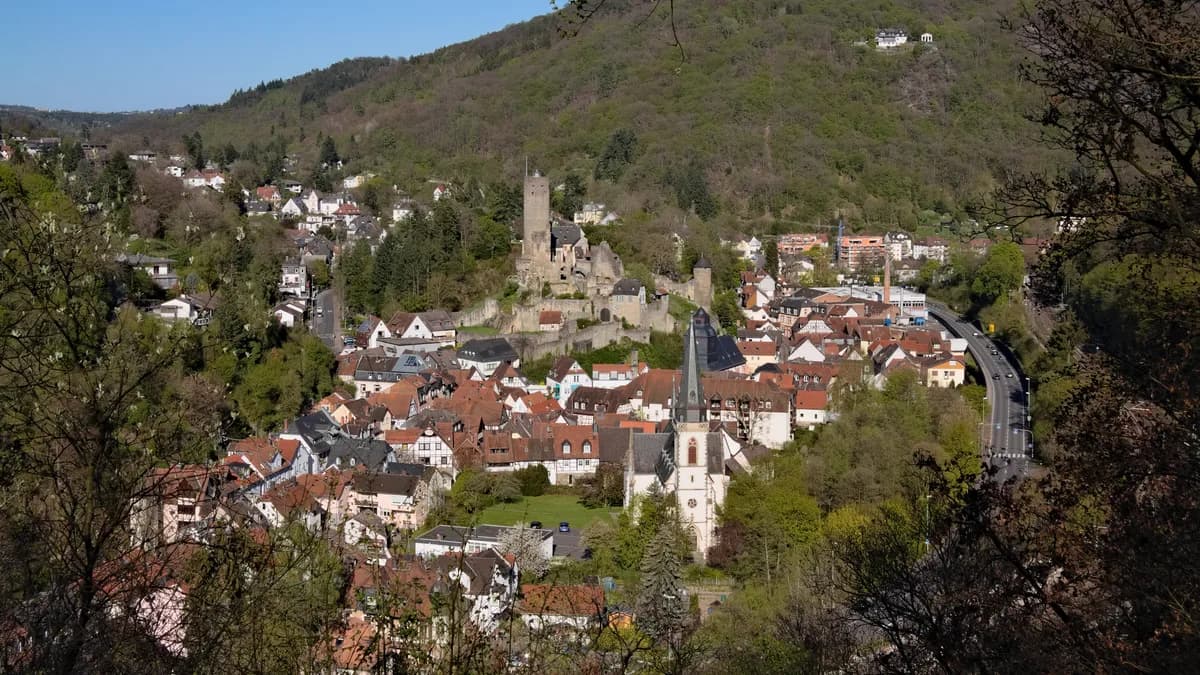 Stadtansicht von Eppstein