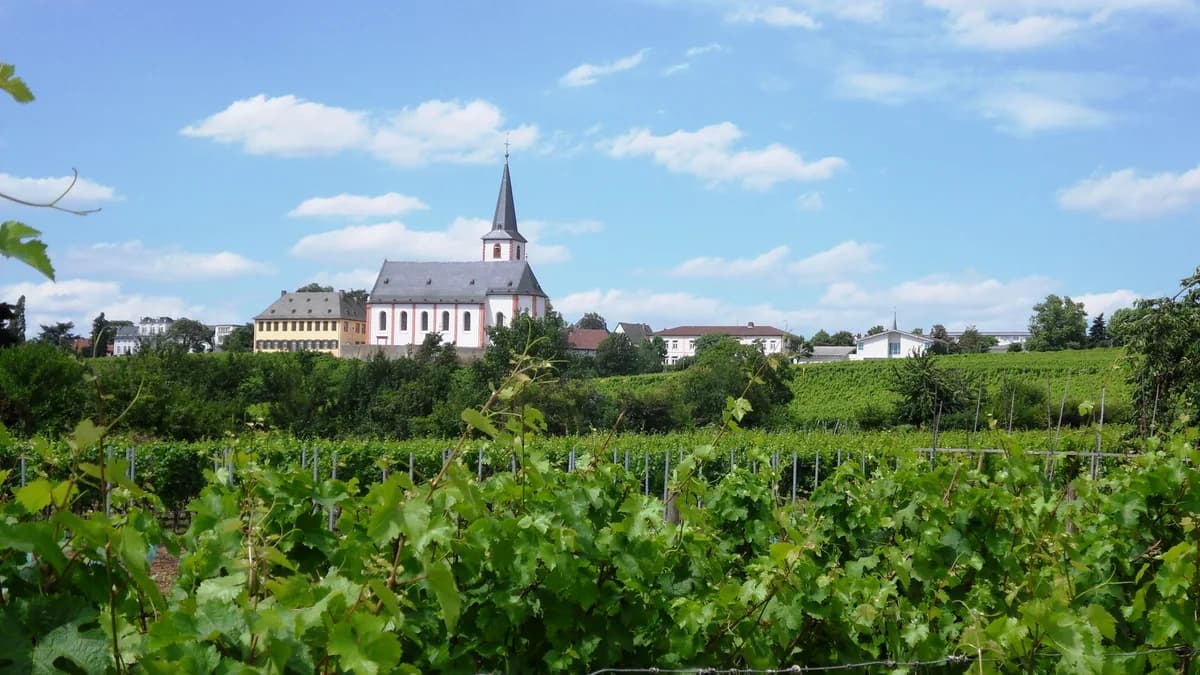 Stadtansicht von Hochheim am Main